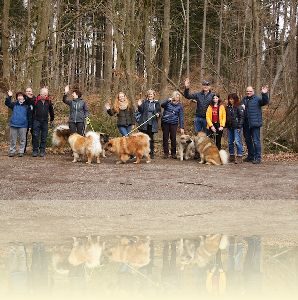 Spaziergang am Ammersee am 11.03.2018